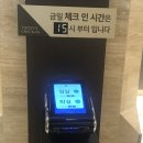 가을 가족여행-홍천 대명 소노펠리체 비발디파크 골드스위트