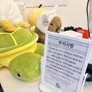 거북장 | 창원 이색카페 파충류샵티라노 거북 동물 먹이체험 도마뱀 상어