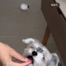 서촌식품 이미지