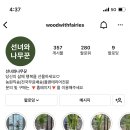소나무화훼 이미지