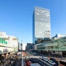 꽃 보러 떠나는 세계여행(2) 이미지