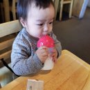 갤러리식당101식당 이미지