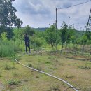 신양농장 이미지