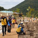 서부흑염소 이미지