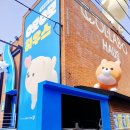 오모오모 압구정 팝업 전시 찐 후기