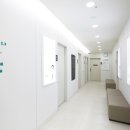 마디척척정형외과마취통증의학과의원 이미지