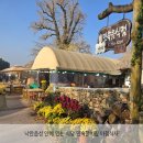 탐나민박 | [아기랑 여수, 순천, 대전여행] 민박 후 아침식사 낙안읍성 안에 있는 식당 민속잔치집