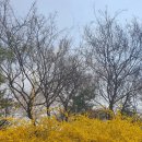 경정장후문 이미지