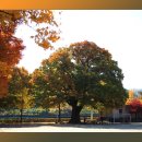 백봉초등학교 이미지