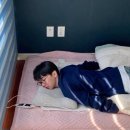 매실향기 이미지