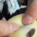 고잉스테이풀빌라3