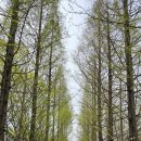 피나클랜드 이미지