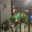 황금죽 | 친구 개업축하를 위해 개업화분 주문해본 후기