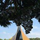 신도목장 | 10월 대만 타이중 여행 (1) - 타오위안 공항 픽업 서비스 ,Y Taipei hotel(YMCA) 3인실, 타이중 춘수당...