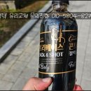 비전알브이