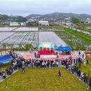 당진3동 이팝나무 이미지