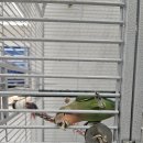 덕풍2동행정복지센터(3층) 이미지