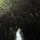 감나무민박 | 제주 서귀포 독채민박 <제주도작은집> 내돈내산 추천 후기