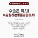 잘하는 동물메디컬센터 이미지