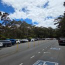 국립공원 홍보 아치 | 빅아일랜드 화산국립공원(2)_이키트레일, 라바튜브, 홀레이씨아치