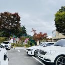 비로소 가을 | 국립백두대간수목원 | 2025 제3회 백두대간 가든하이킹_지역 가을 축제 하이킹 으르렁 코스(6km) 참여 후기