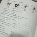 원쌤영어수학