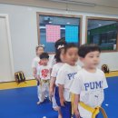 일상 도구를 이용한 리듬타 배우기 | 태권도는 단순한 운동이 아니라 ‘품격 있는 인성교육’입니다 - 부천 중동 경희대 박사 현대 태권도장