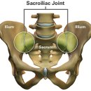 카이로운동센타 이미지