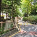 심곡로 이면도로 이미지