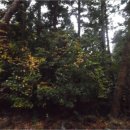 서호동-29 이미지