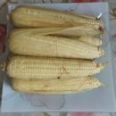 호호경희한의원 이미지