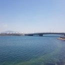 착한전복삼합 이미지