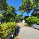 에딘버러CC노동조합 | [세종 근교/청주 맛집] 오창 중원탑막국수 본점(비빔 메밀싹막국수, 메밀왕만두) 솔직 후기