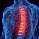 튼튼마취통증의학과의원 이미지