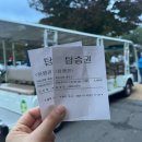 하늘어린이공원 | 서울 억새축제 하늘공원 야간개장 후기 | 주차·맹꽁이열차·포토존 총정리
