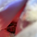 엔터식스 한양대점 | 한양대맛집 추천 왕솥뚜껑 닭볶음탕 계화통 한양대점