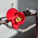 오늘, 정원 이미지