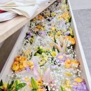 황산장례문화원 | 설날을 하루 앞둔, 선산으로 모신 하루