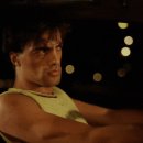 베이비 피그 Baby Pig 이미지