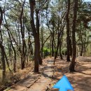 호수공원 관리사무소 옆 이미지