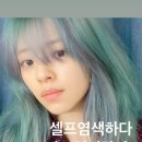 몰앤몰