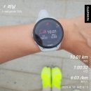 165 | “가민 포러너 165 솔직 후기 – 300일 매일 착용해본 러너의 결론”