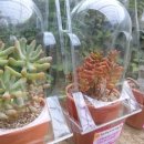 분토농장 이미지