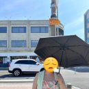 상현농장 | 상현역헬스에서 회원권 날리고 쥬비스 한달 동안 4kg 감량 성공후기