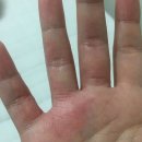 화정벌의원 이미지