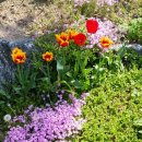 노은동로1 이미지