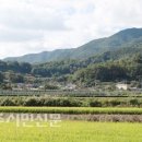 백1리 이미지