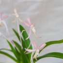 무명농장 이미지