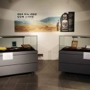 대전대학교 박물관 이미지