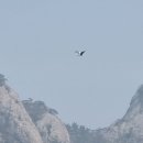 신선 Daum카페